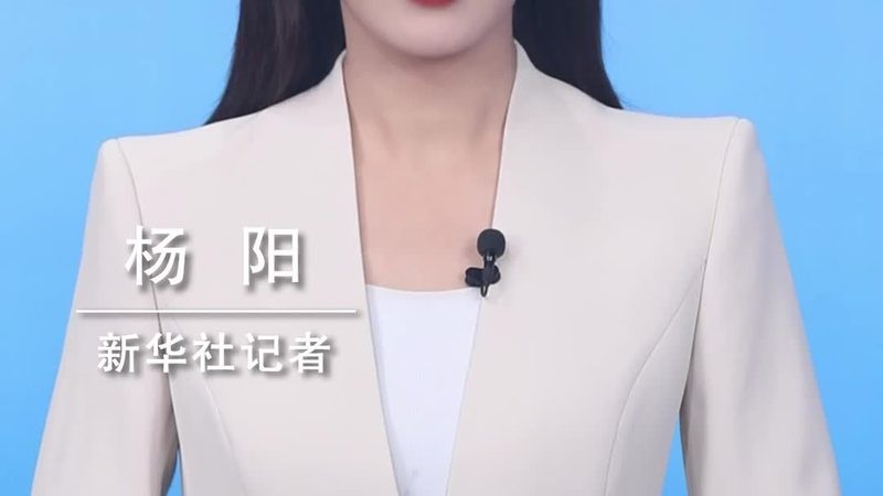 数据治理标准规范：构建企业数据安全的基石